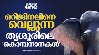 ദുബായ് പൂരം മുതൽ രാജസ്ഥാൻ കൊട്ടാരം വരെ; ഒറിജിനലിനെ വെല്ലും ഈ ആനകൾ | Artificial Elephant