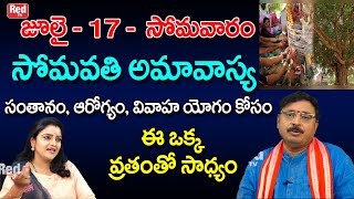 సోమవతి అమావాస్య సంతానం, ఆరోగ్యం, వివాహ యోగం కోసం ఈ ఒక్క  వ్రతంతో సాధ్యం | Malikarjuna Sherma | RedTV