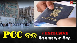 ବିଦେଶରେ ଚାକିରୀ.... | Latest Odia News | Odia News | Breaking News Odia | Today's News Odia | DTV