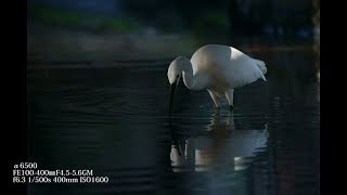 自己満スライドショー#5 Sony α7m3/α6500