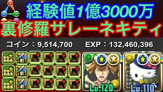 経験値1億3000万　サレーネキティ（シラナキ、アバン無し）【裏修羅】