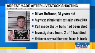 McDonough teen arrested after shooting livestock, involved in road rage incident