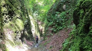 【コノマ沢】　丹沢　河内川水系