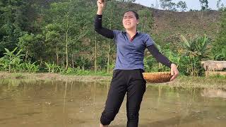 Harvesting \u0026 How to Prepare Delicious Dishes from Snails - Snake Breaks Into Farm