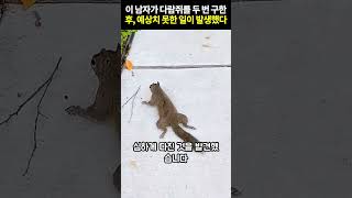 이 남자가 고통받는 다람쥐를 두 번이나 구했더니 이런 일이 일어났다