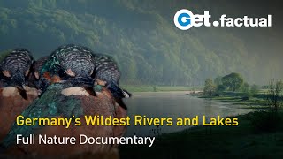 Wild Germany - Rivers and Lakes | Nature Documentary Final Episode