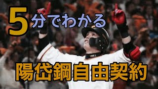 【5分でわかる】陽岱鋼の自由契約について。思い出も振り返る。【電撃退団】