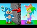 YAPI KAPIŞMALARINDA //SUPER BEBEK SONİC İLE ARKADAŞIMI TROLLEDİM - 😱 Minecraft