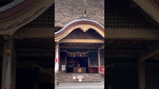 浅春の候　早朝の「青井阿蘇神社」⛩️ #人吉市 #神社 #shorts