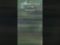 落ちそうで怖い 高所恐怖症閲覧注意！ 真下は谷の jr仙山線 第一広瀬川橋梁 熊ヶ根橋 　