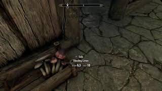 Skyrim longplay cant get enough