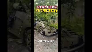 这个视频奇怪，不信你看This video is strange. I don't believe you watch it