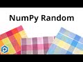 Python NumPy | Random