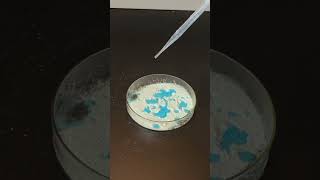 Anhydrous copper sulfate