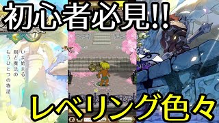 【ログレス物語】初心者必見!!レベリングの場所についてや色々、レベルアップ【ログスト】【剣と魔法のログレス】