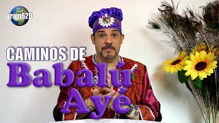 Los Caminos de Babalú Ayé e interesante y dificil de narrar.