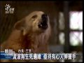 2010 02 22公視晚間新聞 流浪狗乏人照護 狗場瀰漫惡臭