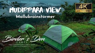 Mudippara View I Camp stay I #gopro