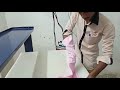 7010083118 ambur steam ironing machine installation and training