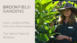 Top 5 Native Trees for Brisbane with Ann-Marie Andrews