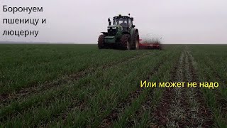 Боронование пшеницы и люцерны. Роторный культиватор Rotarystar от EINBOECK и ТОВ \