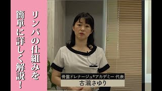 ★世界一わかりやすい！「リンパ解剖生理学」初級講座