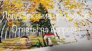 #222. Продвижение ПРОЦЕССОВ и ОТВЕТЫ на ваши вопросы про Рамы, пины и скорость вышивания