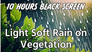 Sleep Better Tonight: Soft Rain on Vegetation ASMR For Sleeping | 10 Hours Black Screen
