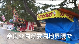 鹿と人間。浮雲園地では外国人観光客と鹿との、せんべいファイトが始まる🤣🤣