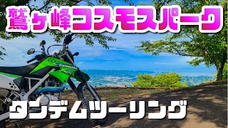 和歌山へタンデムツーリング！コスモス咲いてないけどコスモスパークに行って来ました【鷲ヶ峰コスモスパーク】