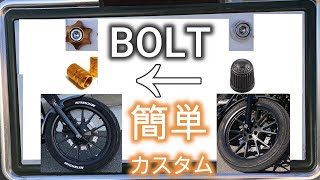 【#カスタム】#BOLT に誰でもできる簡単カスタムしてみた!