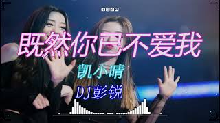 凯小晴 - 既然你已不爱我 (DJ彭锐 Funky Remix 2023) DJ歌曲,超劲爆2023,2023夜店舞曲