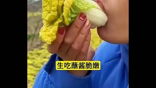 黄心乌塌菜，营养丰富，生吃蘸酱脆嫩炒菜做汤鲜香