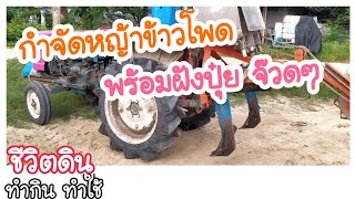 ผานทำรุ่นข้าวโพด พร้อมฝังปุ๋ย | แดงโปด ชีวิตดิน