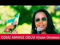 oduu ammee oduu afaan oromoo oduu hatattaman amma nu gahe ethiopia tops world news today news