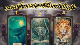 การเปลี่ยนแปลงที่ดีในครึ่งปีหลัง  #ดูดวงไพ่ยิปซี #tarot #pickadeck
