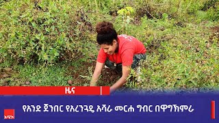 የአንድ ጀንበር የአረንጓዴ አሻራ  መርሐ ግብር በዋግኽምራ