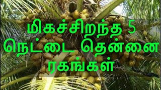 நெட்டை தென்னை ரகங்களை பற்றிய முழுவிளக்கம் | tall coconut full explanation |