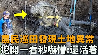 農民巡田發現異常，挖開一看瞬間嚇懵:牠還活著...... |#土地 #農夫 #田 #震撼 #奇跡 #不可思議