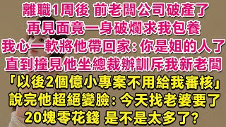 公司破產後老闆哭红了眼求我包养他，我心一軟甩下150塊將他帶回家。直到我撞見他坐總裁辦，一臉嚴肅訓斥我新公司老闆：以後2個億小專案不用給我審核。說完他變了臉：今天找老婆要了20塊零花錢，是不是太多了？