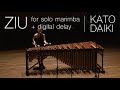 Ziu (solo marimba with digital delay) - Kato Daiki