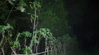 LIVE MISTERI | ENERGI GHAIB DI BEKAS RAWA TEMPAT ANAK HILANG