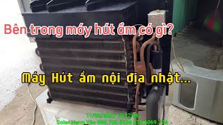 Bên trong máy hút ẩm nhật bãi có gì?