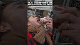 캐나다 사람이 한국에서 눈 보면 #폴서울