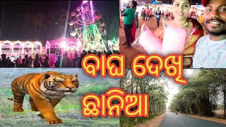 ମେଳା ମଝିରେ ହଠାତ୍ ବାଘ #odiavlog #rupapintukhusi #juniorlipun #dilliplipilovelife