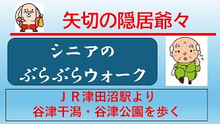 シニアのぶらぶらウォーク「谷津干潟・谷津公園」