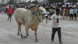 2021-GUNTUR-SUB-JUNIORS-3rd PLACE- PALAGIRI. SUDHAKAR REDDY, PRAKASAM DIST-4200 FEET WON-25,000