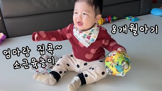 8개월아기 집콕놀이 비나보, 손수건으로 하는 소근육놀이🙂 친환경 독일제품 binabo