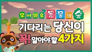 모여봐요 동물의 숲을 기다리는 당신이 꼭! 알아야 할 4가지