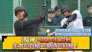 【阪神】明日の紅白戦 主力の白組vs期待の紅組！【なんJ/2ch/5ch/ネット 反応 まとめ/阪神タイガース/藤川球児】